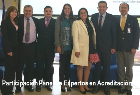 Panel de Expertos