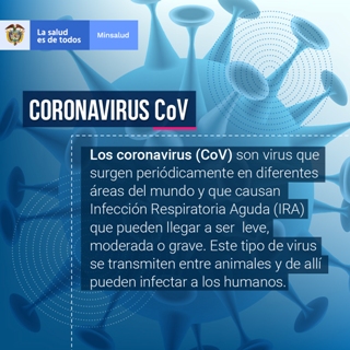 CONOZCA TODA LA INFORMACIÓN REFERENTE AL COVID-19